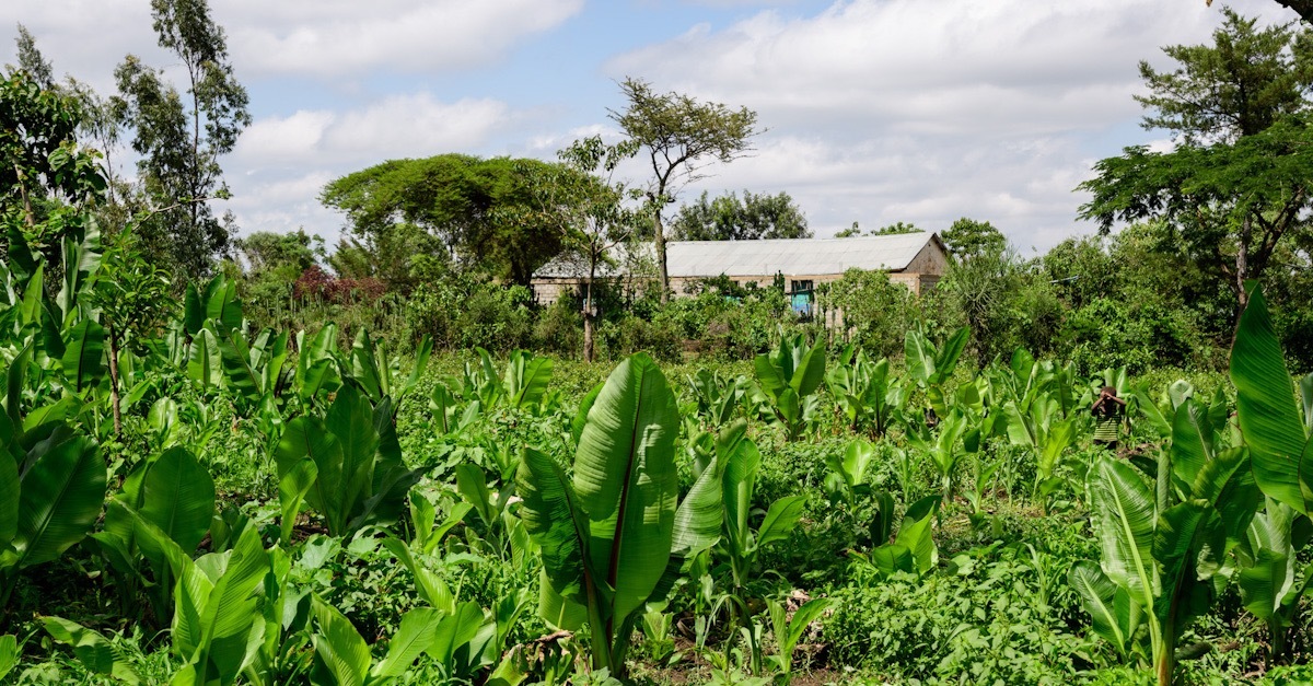 3 CAA9 D12 7 D30 4 D29 B26 F AD6611 FAA6 B6