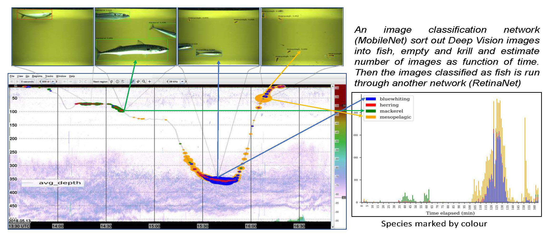 2024 02 14 1128 Rolf Korneliussen etal SUMMER MEESO compressed3 Page 07