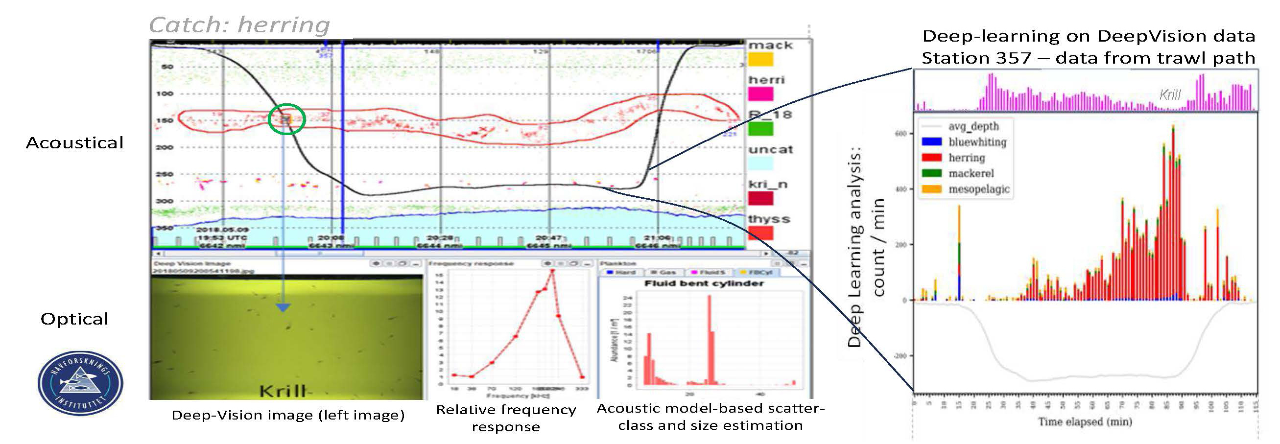 2024 02 14 1128 Rolf Korneliussen etal SUMMER MEESO compressed3 Page 08