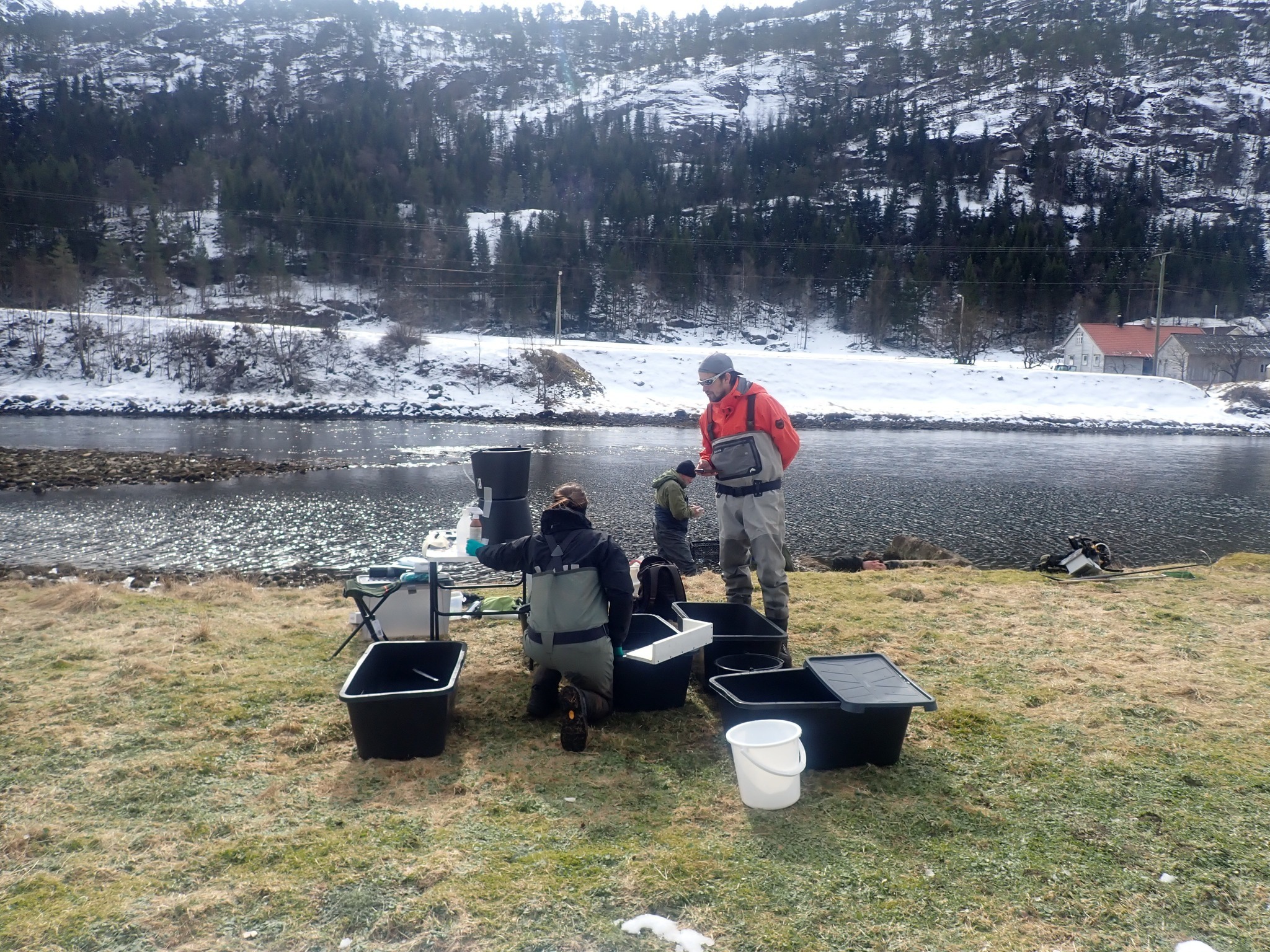 Feltarbeid i forbindelse med merking av smolt Modalen 2