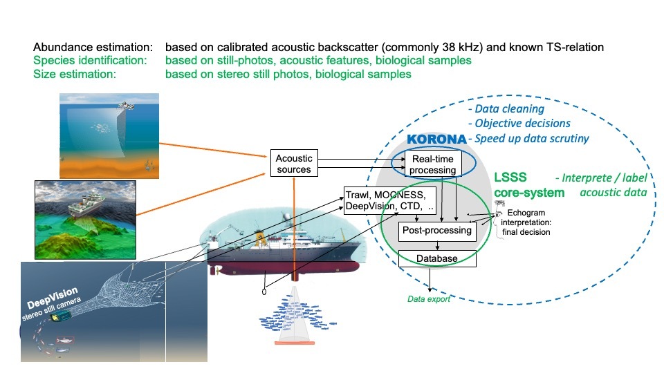 LSSS slides 3 Read Only