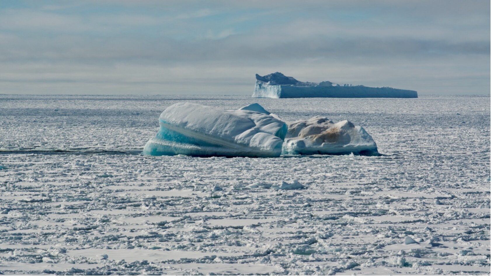 Robert Ricker, NORCE, Icebergs surrounded by sea ice in the Weddell Sea, Ricker, , 