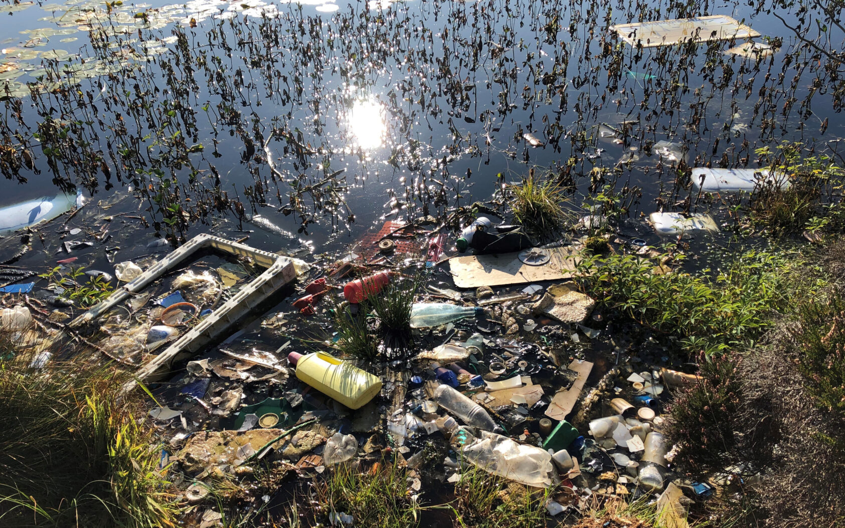 Gunhild Bødtker, Plastforsøpling på Lisle Lyngøy før forskingsprosjektet og plastrydding startet., Plast1 LL foto Gunhild, , 