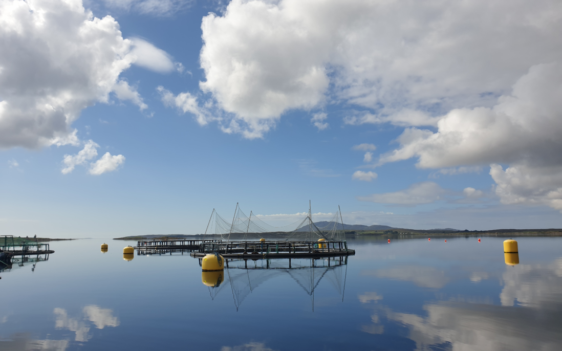 Forskningsanlegget ved Lehanagh Pool