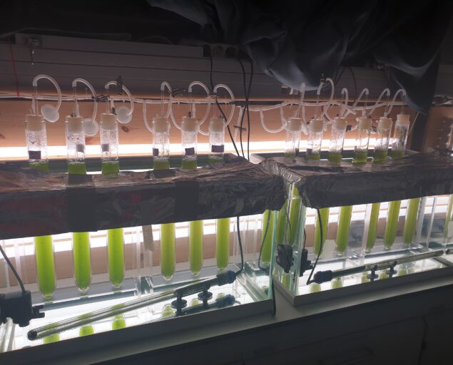 , Photo: Pia Steinrücken, Day 7 1, , 