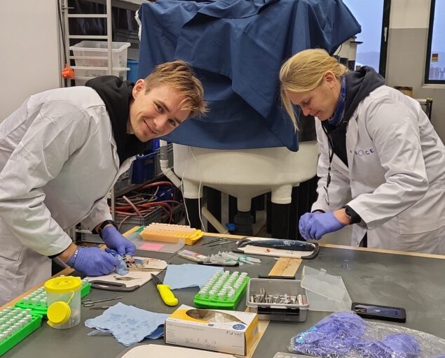 NORCE, Marius Nilsen and Helena Hauss, IMG 20231122 WA0003 1, , 