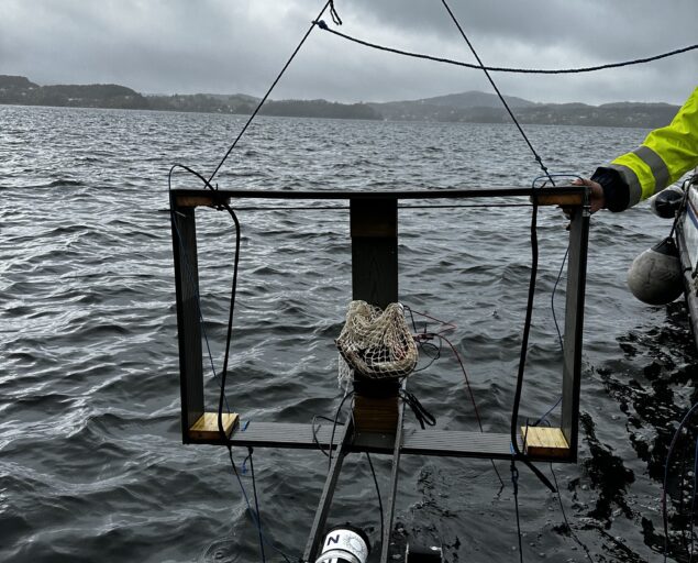 Naouel Gharbi, NORCE, Testing rig for the electromagnetic field, IMG 1095, , 
