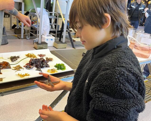 NORCE, I laboratoriene i Mekjarvik ser forskerne på om samspill mellom ulike sjødyr, som laks og blåskjell, og alger kan redusere miljøpåvirkningen fiskeoppdrett har på sjøen., Mekjarvik, , 