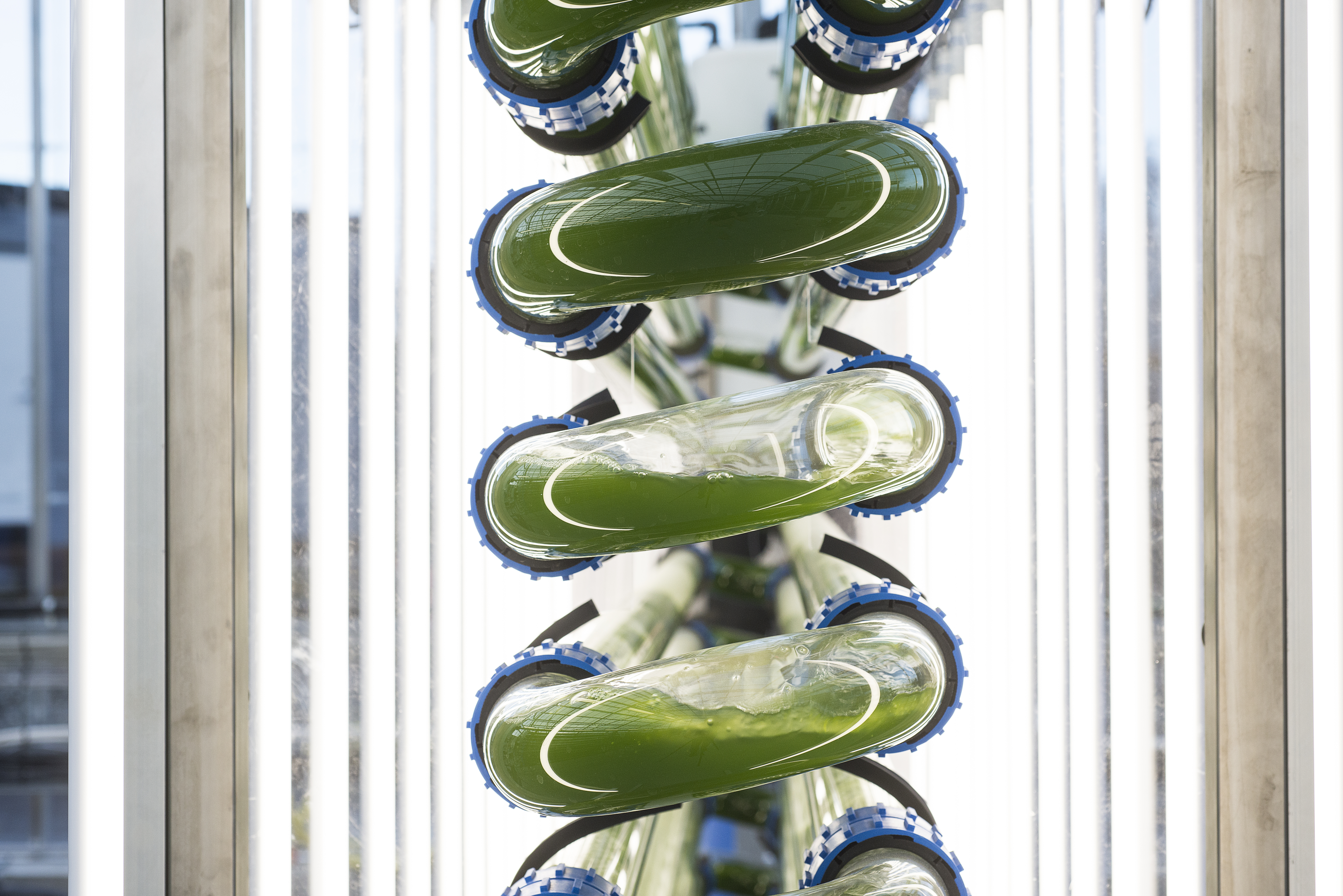 Nasjonal algepilot mongstad 29022675338 o