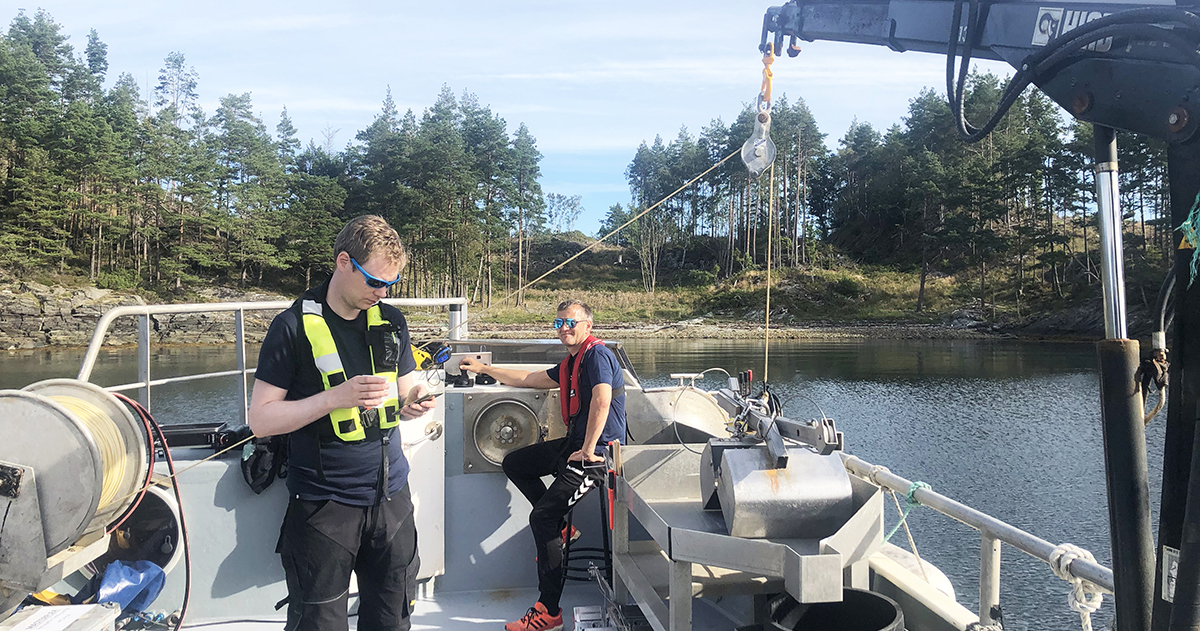 Rein hardangerfjord Einar Bye Ingebrigtsen prøvetaking some