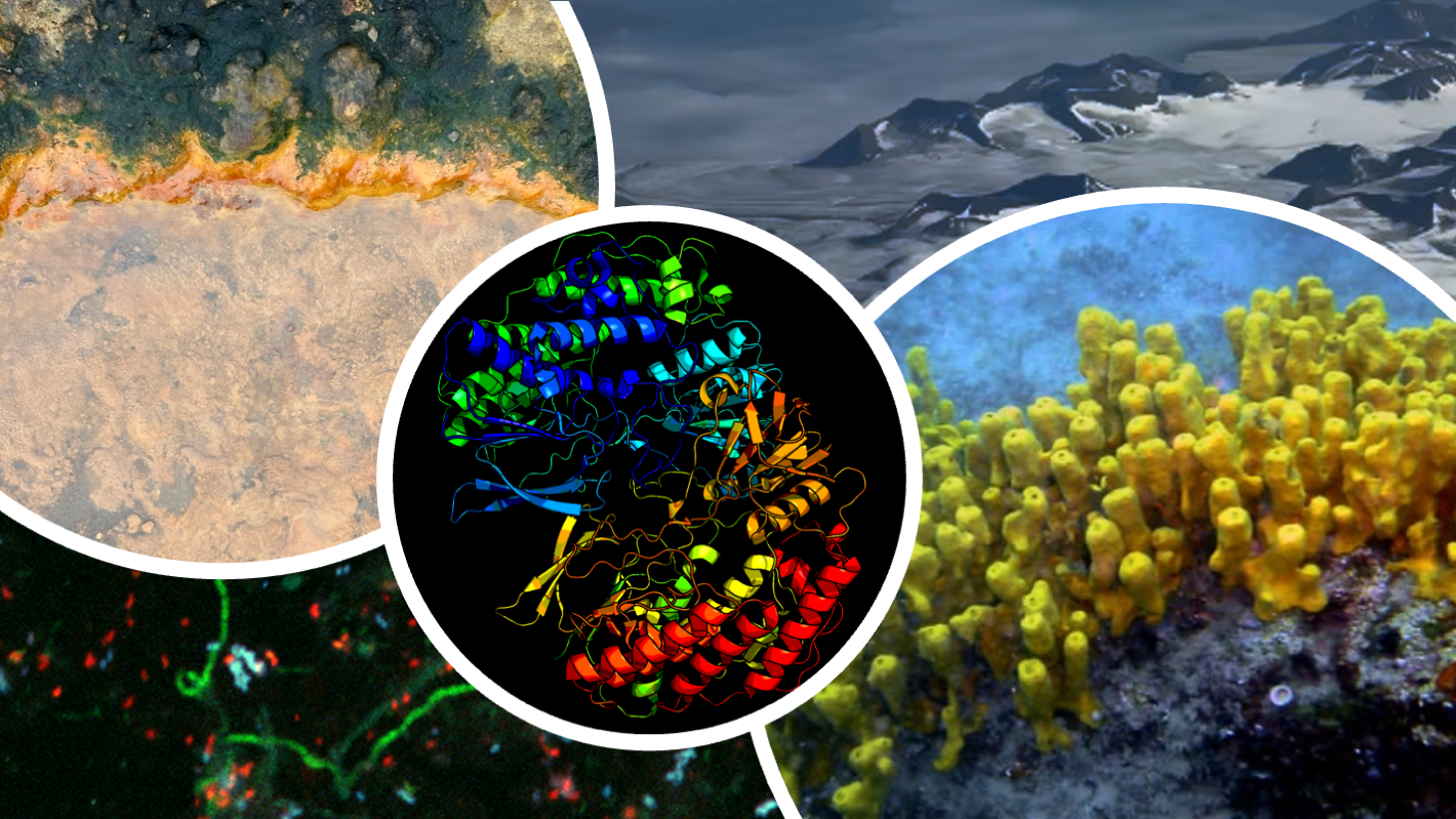 , Photos: Geomar,NORCE, Xtream, , 