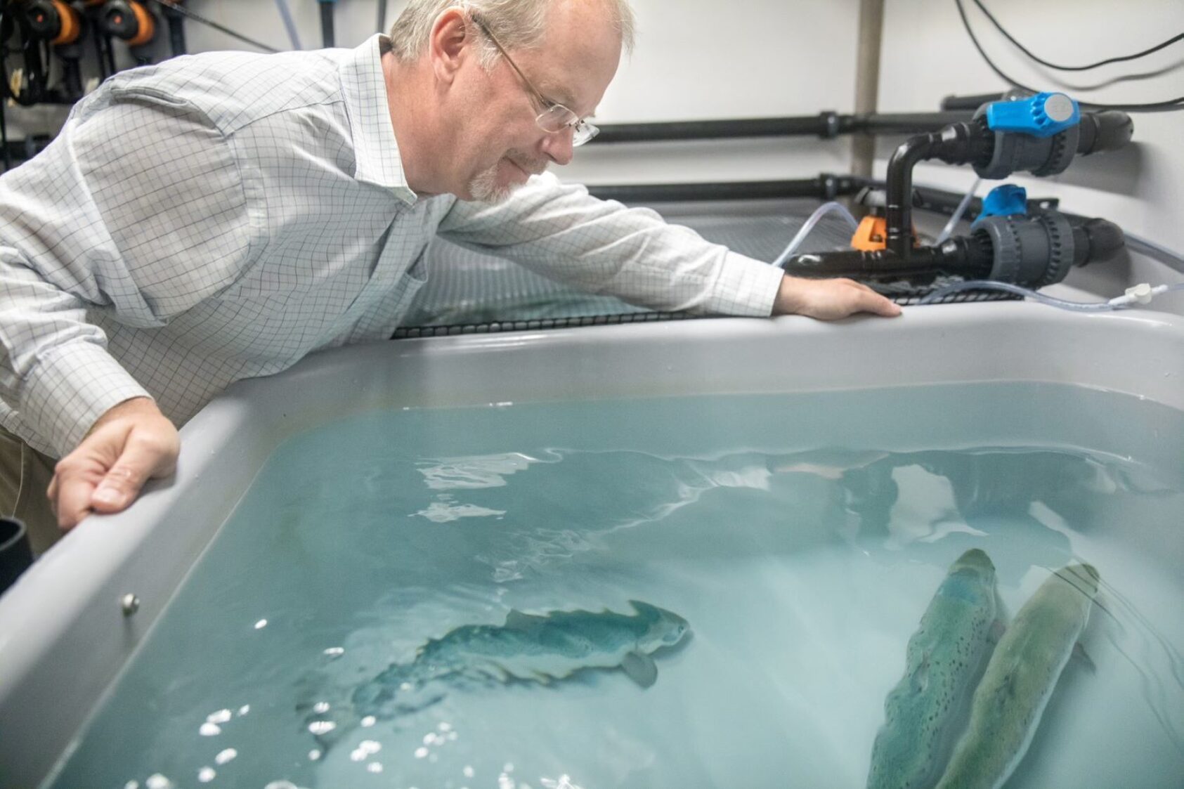 Eivind Senneset, NORCE-forsker Lars Ebbesson., Thumbnail LZ56 E4 HT Lars, , 