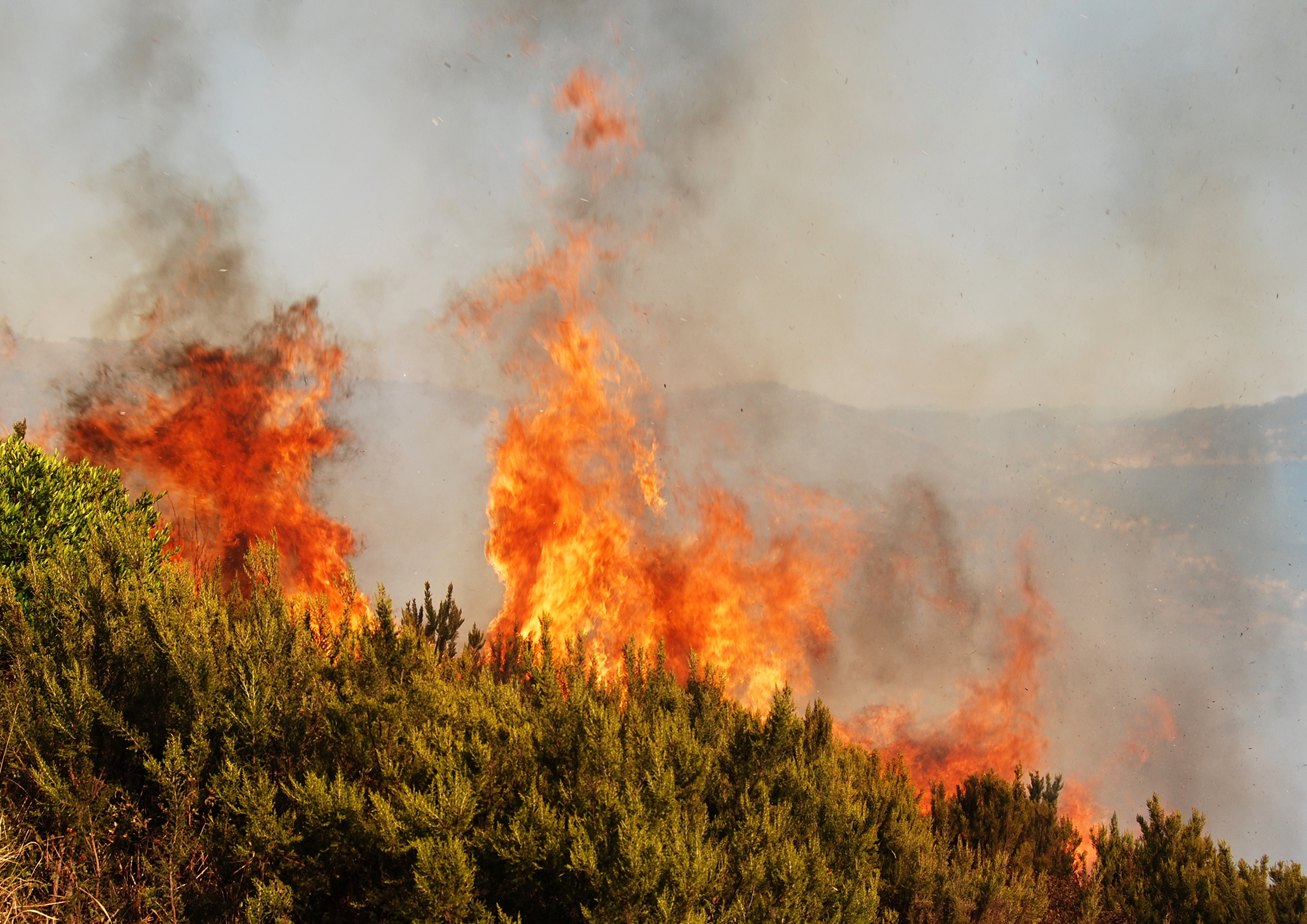 Skogbrann shutterstock 2341370625
