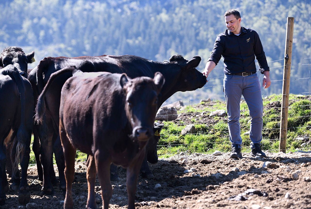 , Røysland Gård, i Bjerkreim, Norge, er en av fire piloter i EU-prosjektet HarvRESt. I dette tilfellet hjelper NORCE til med å analysere hvordan man kan utvikle og utvide et smart energisystem som støtter fullstendig avkarbonisering av alle aktiviteter på gården, inkludert slakteriet. Foto: Paal Christensen, Nyyyt AS., Bilde 2 Nyyyt foto Paal Christensen3 web, , 