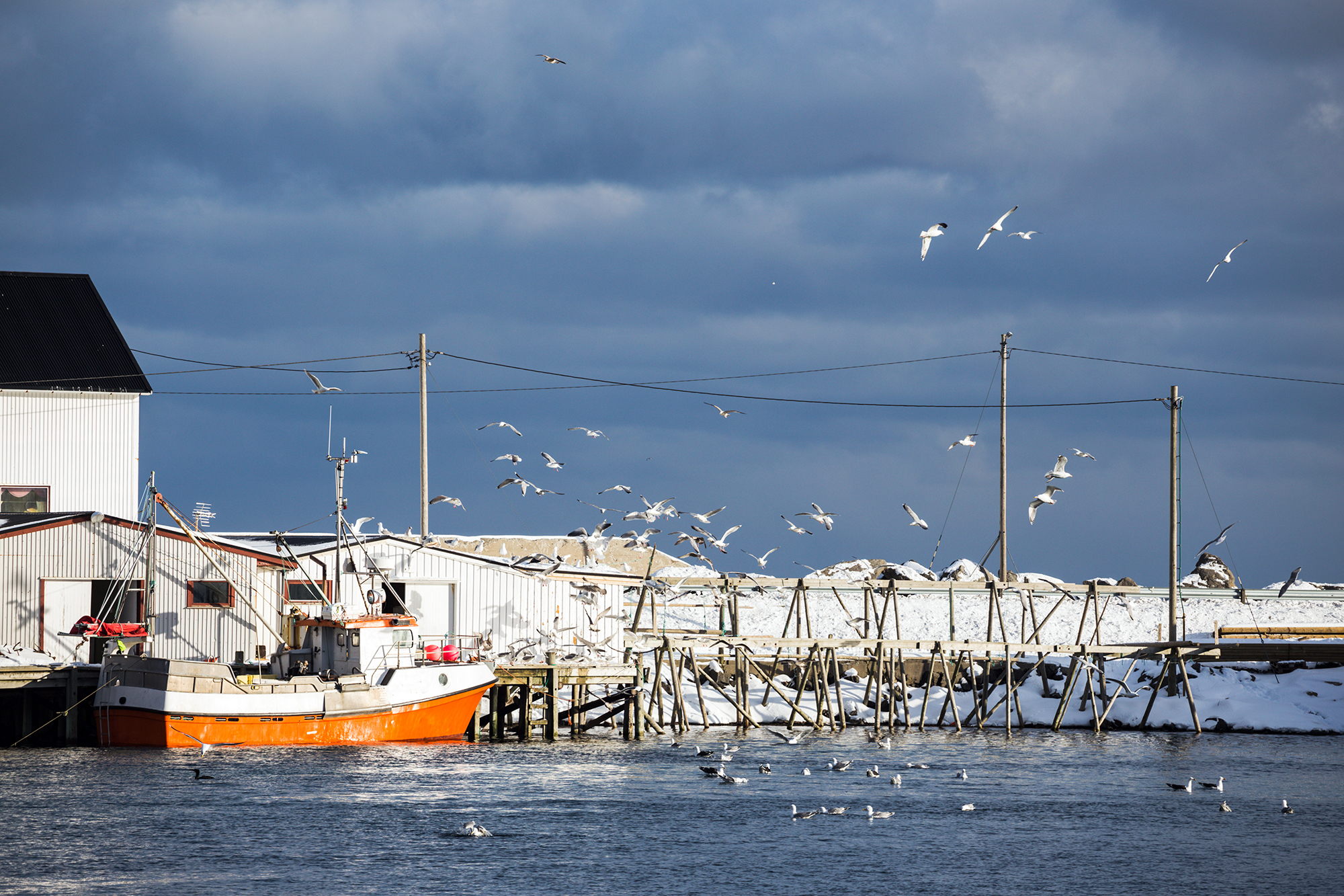 COLOURBOX41809377 copy