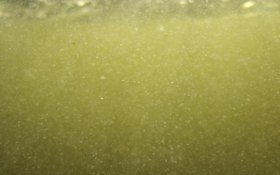 Elv med gassovermetning