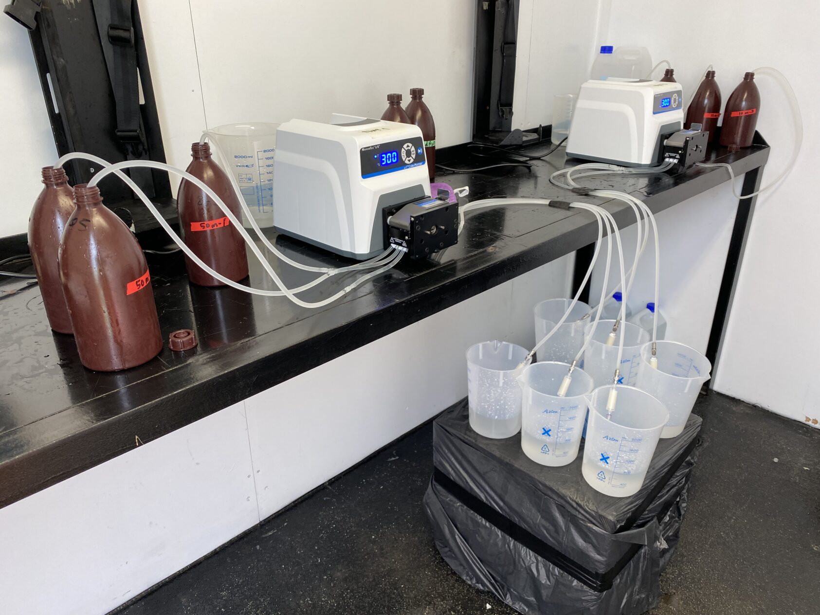 , Forskerne våre har blant annet undersøkt eDNA-prøver fra vannet rundt havvindparken Hywind Scotland som ligger utenfor byen Peterhead på den skotske østkyst., 5, , 