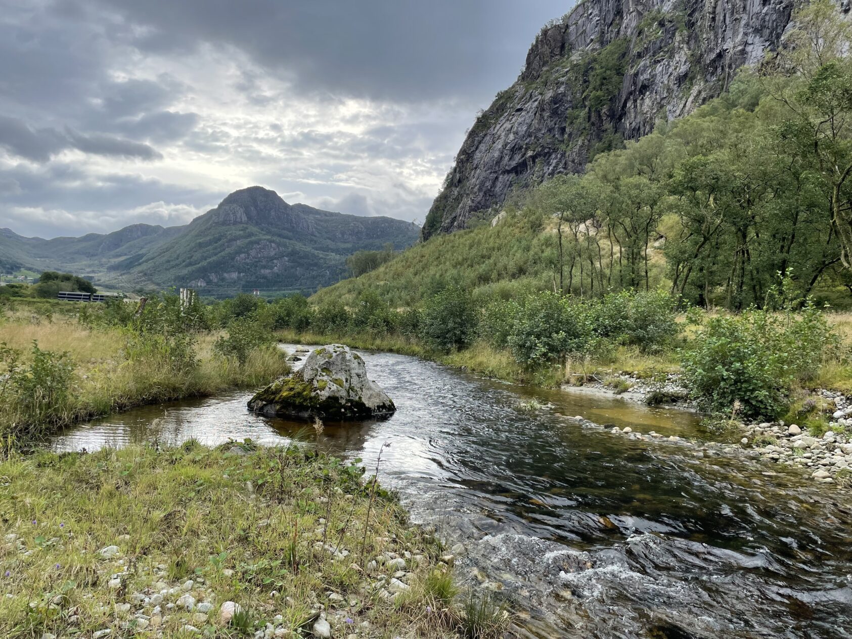 Foto: Ulrich Pulg, Den nye Forsandåna med naturtypiske habitater og plass til flomsone og kantvegetasjon., Forsandåna1, , 