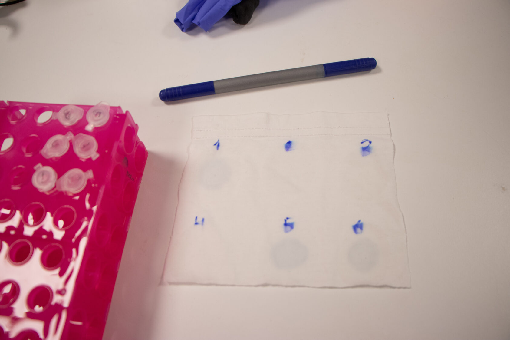 Thomas Hovmøller Ris, Here are the results from the experiment - can you tell the difference?, Resultat, , 