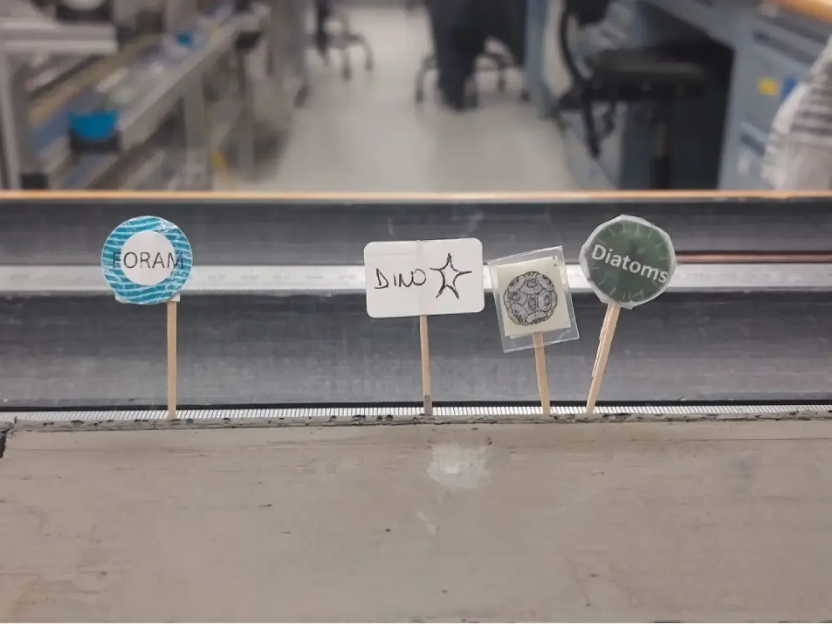 Foto: Katrine Husum, Markering på sedimentkjerne hvor det skal tas prøver. Her skal det tas prøver til mikrofossiler., Sedimentkjerne, , 