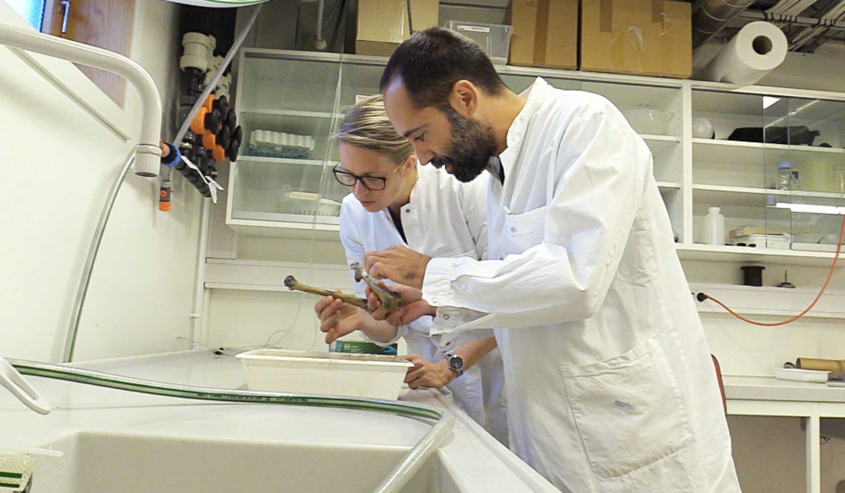 Andreas R. Graven, NORCE scientists Antonio Garcia-Moyano and Gro Bjerga., Antonio gro enzymer bein cocktail1, <p>Andreas Graven, NORCE</p>, Two scientist in a lab looking at bones.