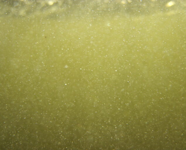 Ulrich Pulg, Elv med gassovermetning, elven Otra i Agder, Elv med gassovermetning 160 Otra, , 