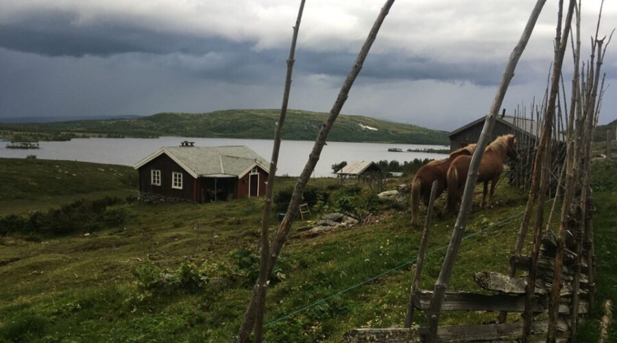 Seter i Valdres
