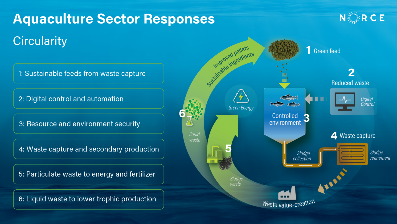 Suet Chan, Sirkulære prosesser, Circular processes, , 