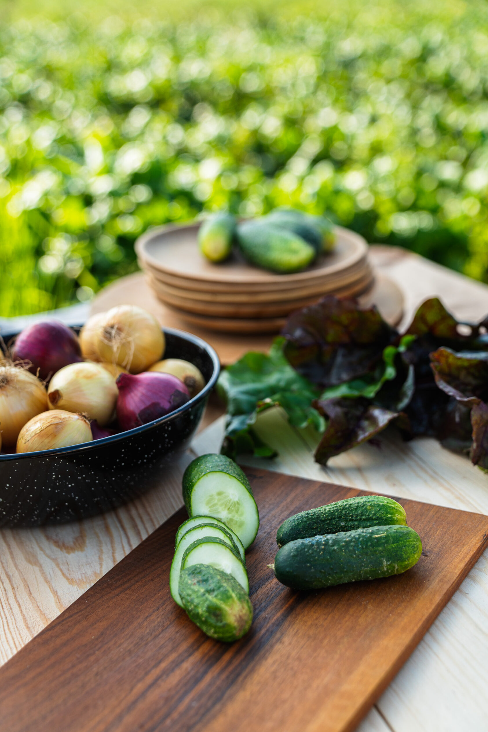 Day of Week / South Coast Creative, Beter fra Agder ligger også i datamaskina el kan vi kalle det kjelen til NORCE sin KI-forsker Xuan Zhang., DSC03299, , 