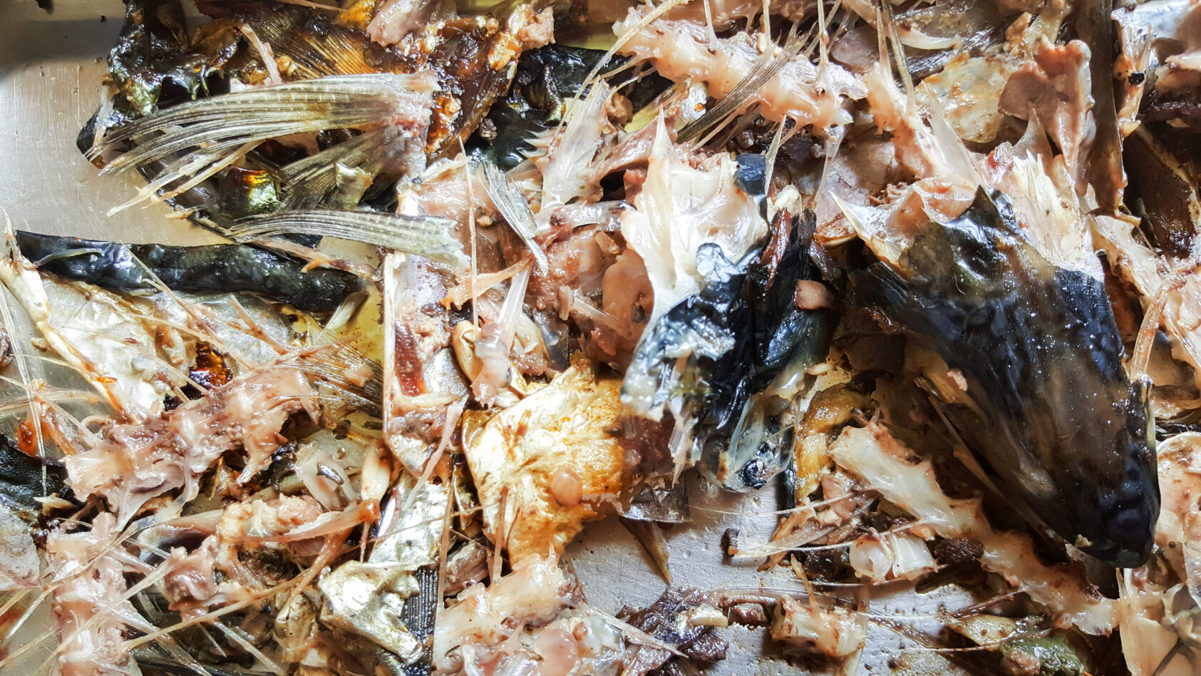 , , Bits and bones, fish and feed can be eaten, used as sources of protein, or even recycled into plastic., <p>Photo: Colourbox</p>, 