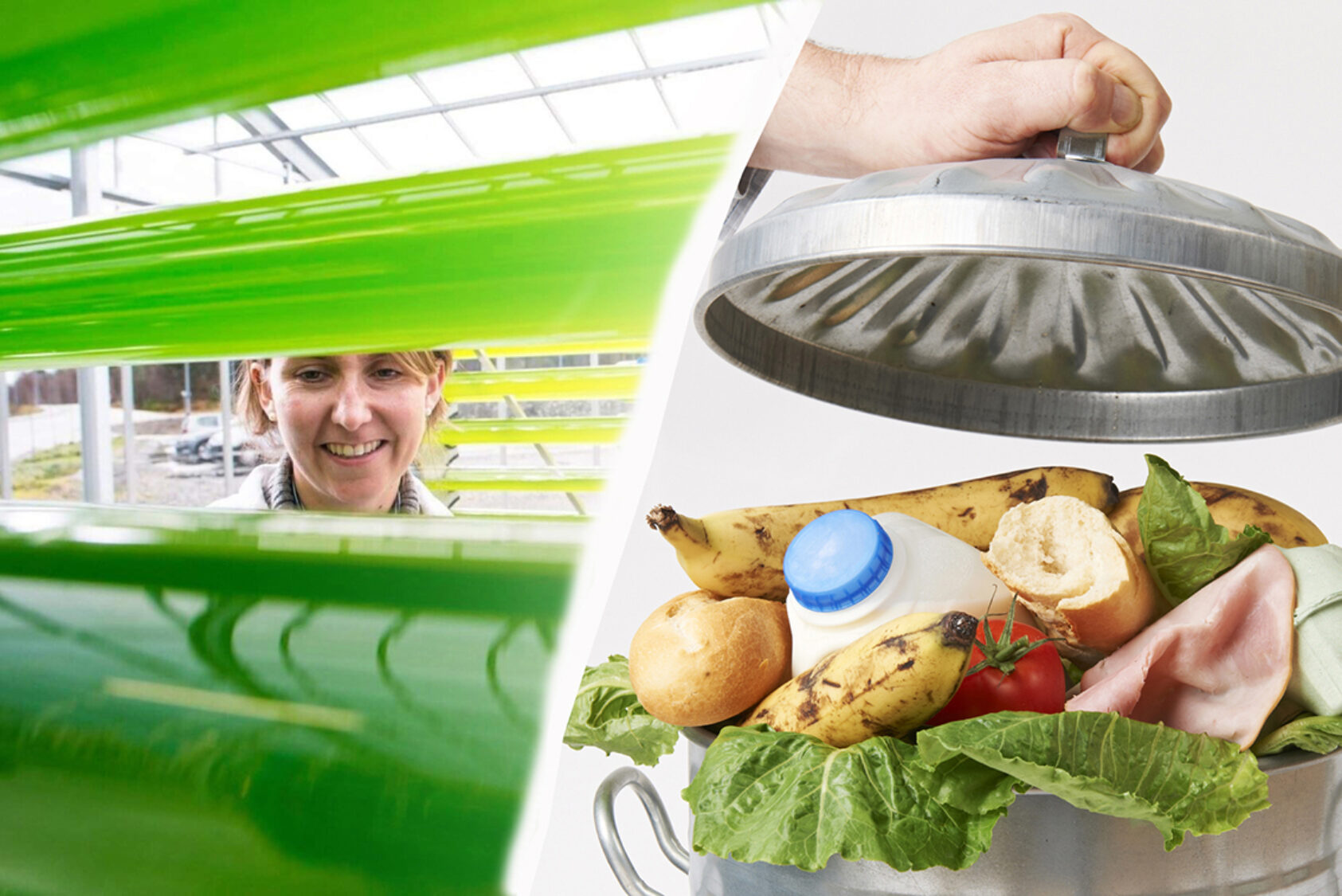 Thor Brødreskift (foto t.v) og Colourbox (foto t.h), I en sirkulær økonomi utnyttes og gjenbrukes ressurser i større grad. Det krever innovasjon og etablering av nye forretningsmodeller. Bilde til venstre viser NORCE-forsker Dorinde Kleinegris ved grønne rør med mikroalger, som kan bli en viktig kilde til proteiner med lavt karbonavtrykk., Dorinde hans mikroalger matavfall mindre web, , 