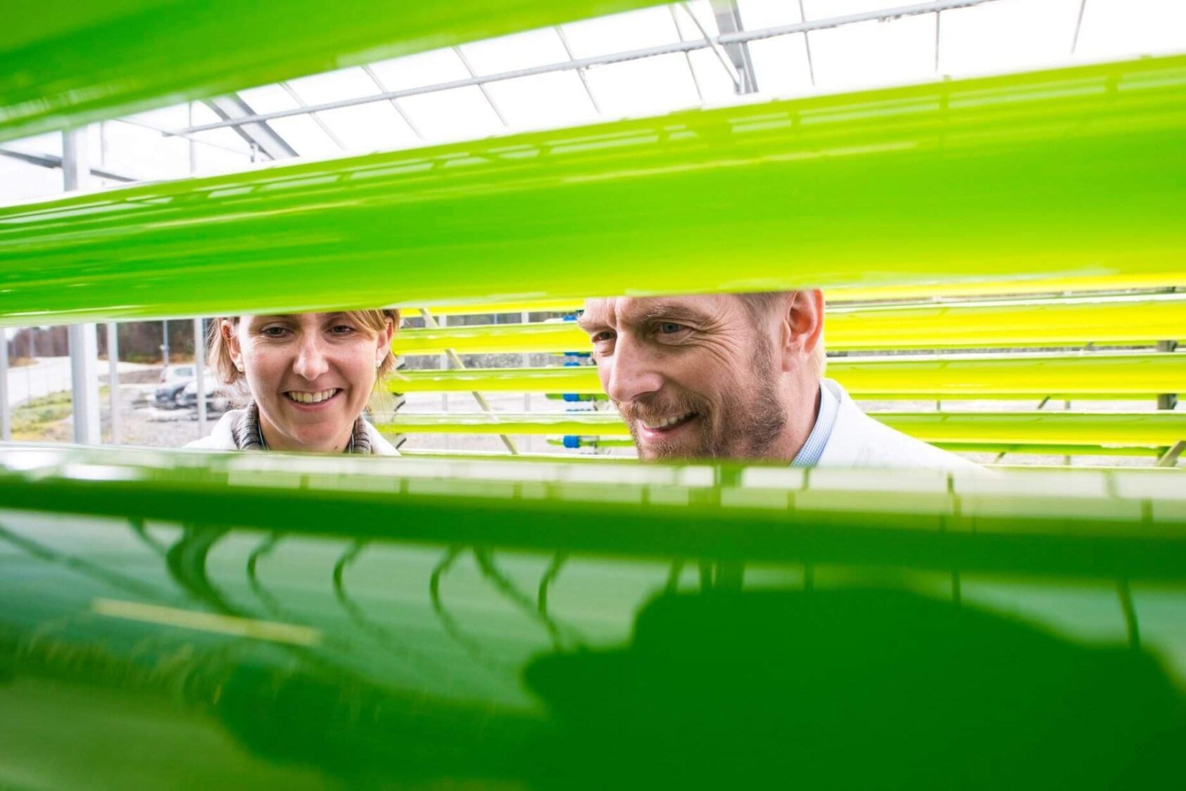 Foto: Thor Brødreskift, I NORCE har vi utviklet ekspertise på dyrking av mikroalger over en årrekke, og denne kompetansen bidrar vi med i ATC. Her er forsker Dorinde Kleinegris i NORCE med direktør Hans Kleivdal til høyre., Dorinde hans mikroalger, , 