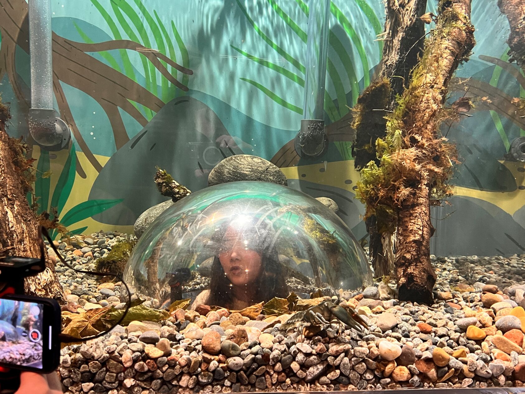 Gunn Janne Myrseth, NORCE, Vanessa Omdahl, fra klasse 7 på Nordnes barneskole snakker i mikrofon inne i en plastboble inne i elva mens hun filmes., Jenta i kvit genser i bobla Nordnes skole, <p>Gunn Janne Myrseth, NORCE</p>, Jente snakker i mikrofon inne i en plastboble inne i elva mens hun filmes.-foto