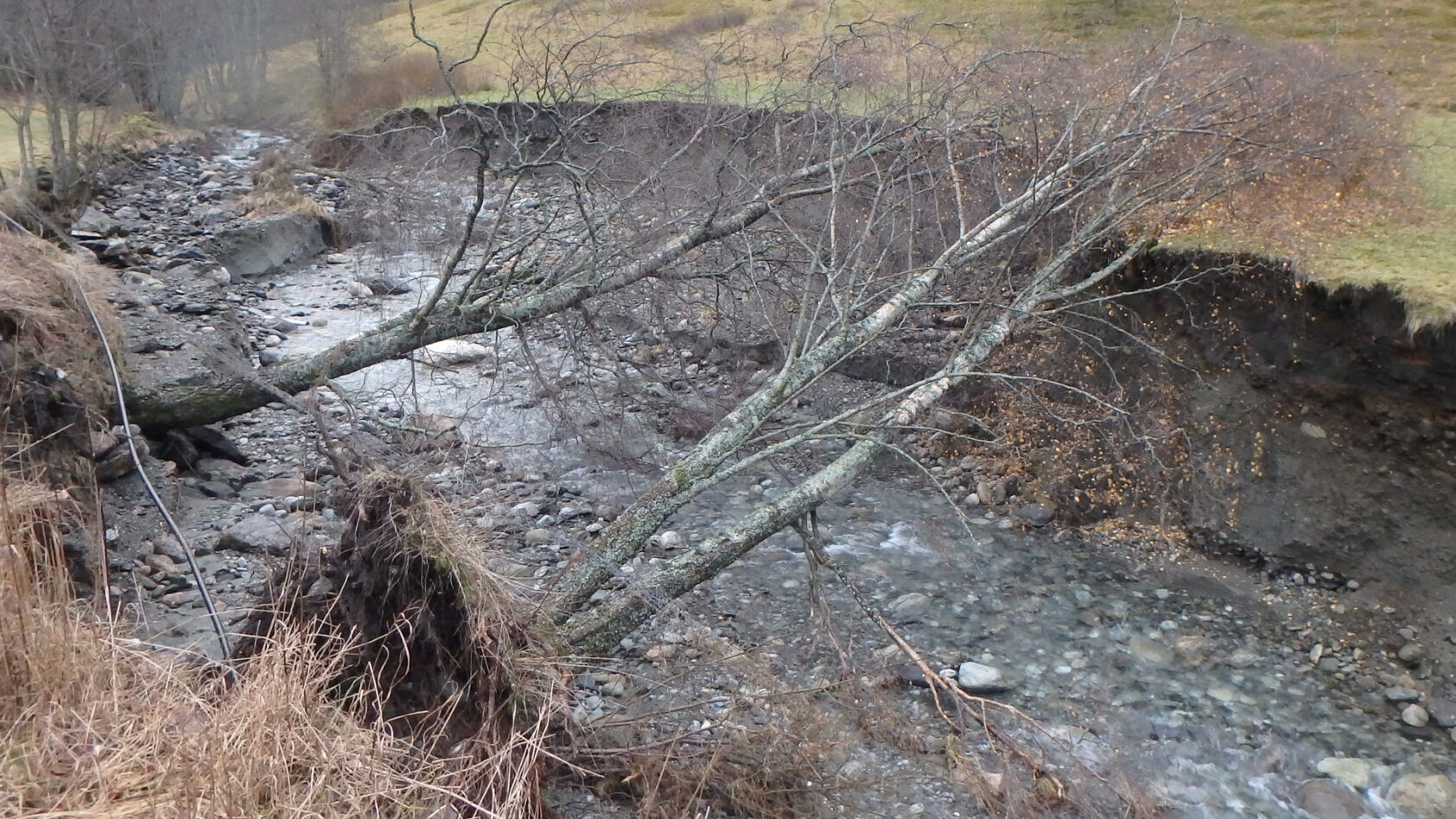 Ulrich Pulg / NORCE LFI, Tverrelvi i Flåm., Tverrelvi flåm ullrich pulg, , 