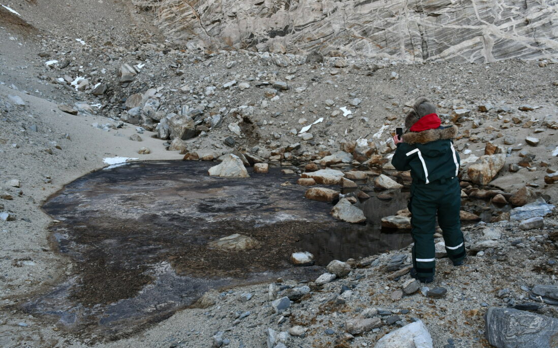 Her har års fuglebærsj laget en liten sjø av olje.