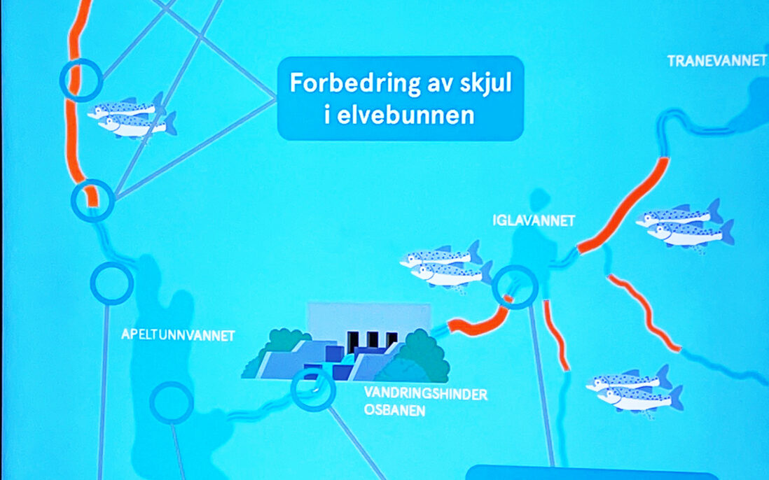 Bilde av grafisk bilde fra vegg på Akvariet som viser installasjoner i Apeltunelva