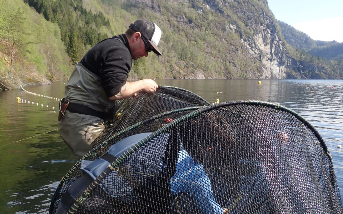 På Furnes i Bolstadfjorden satte Yngve Landro ut en storruse for å fange flytende plast fra Bolstadelva i Vossovassdraget.