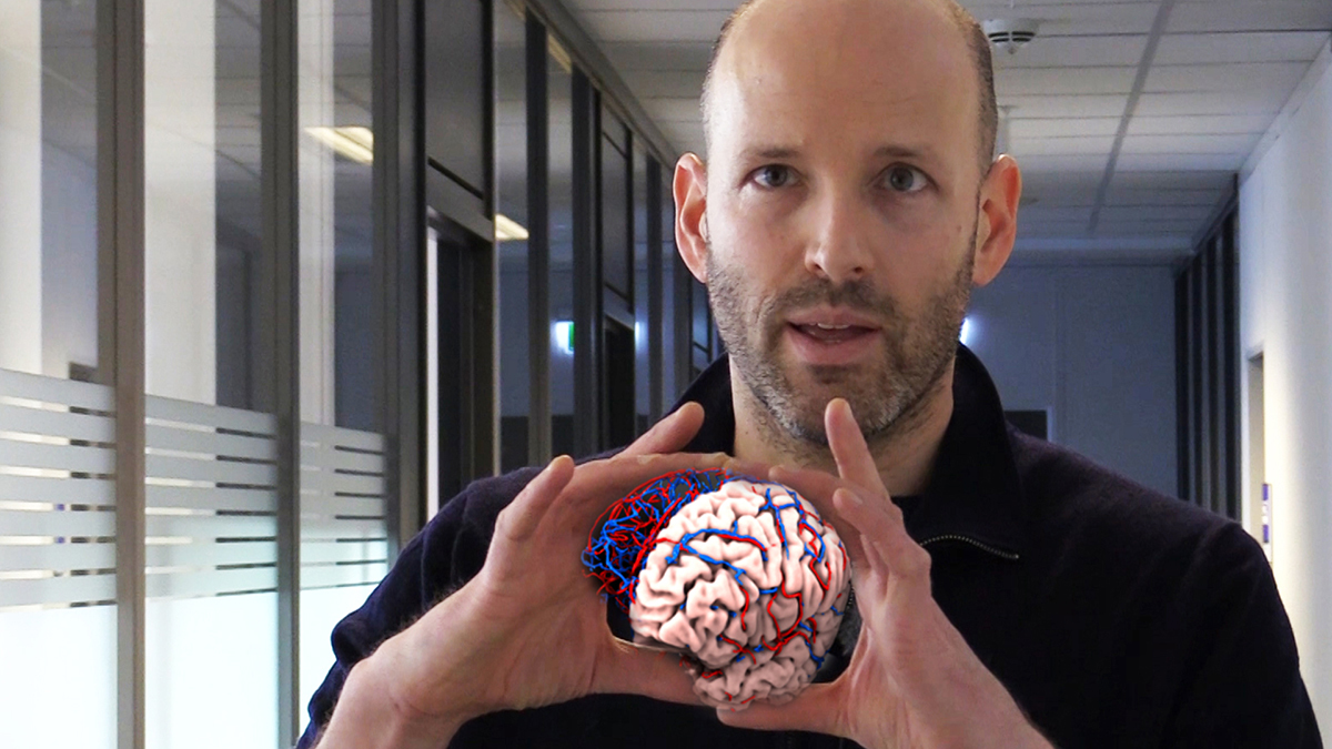 Frontbilde video hodneland hjerne