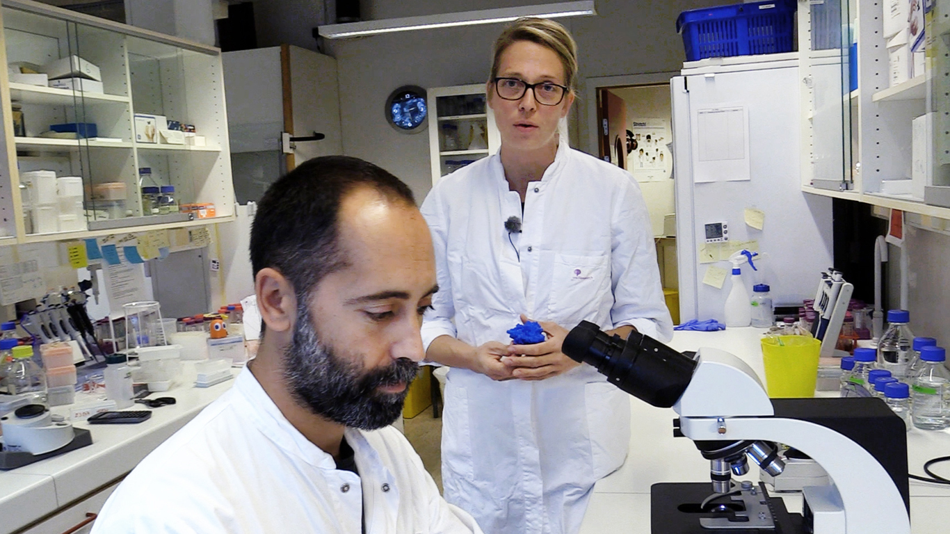 Gro bjerga antonio garcia moyano FB