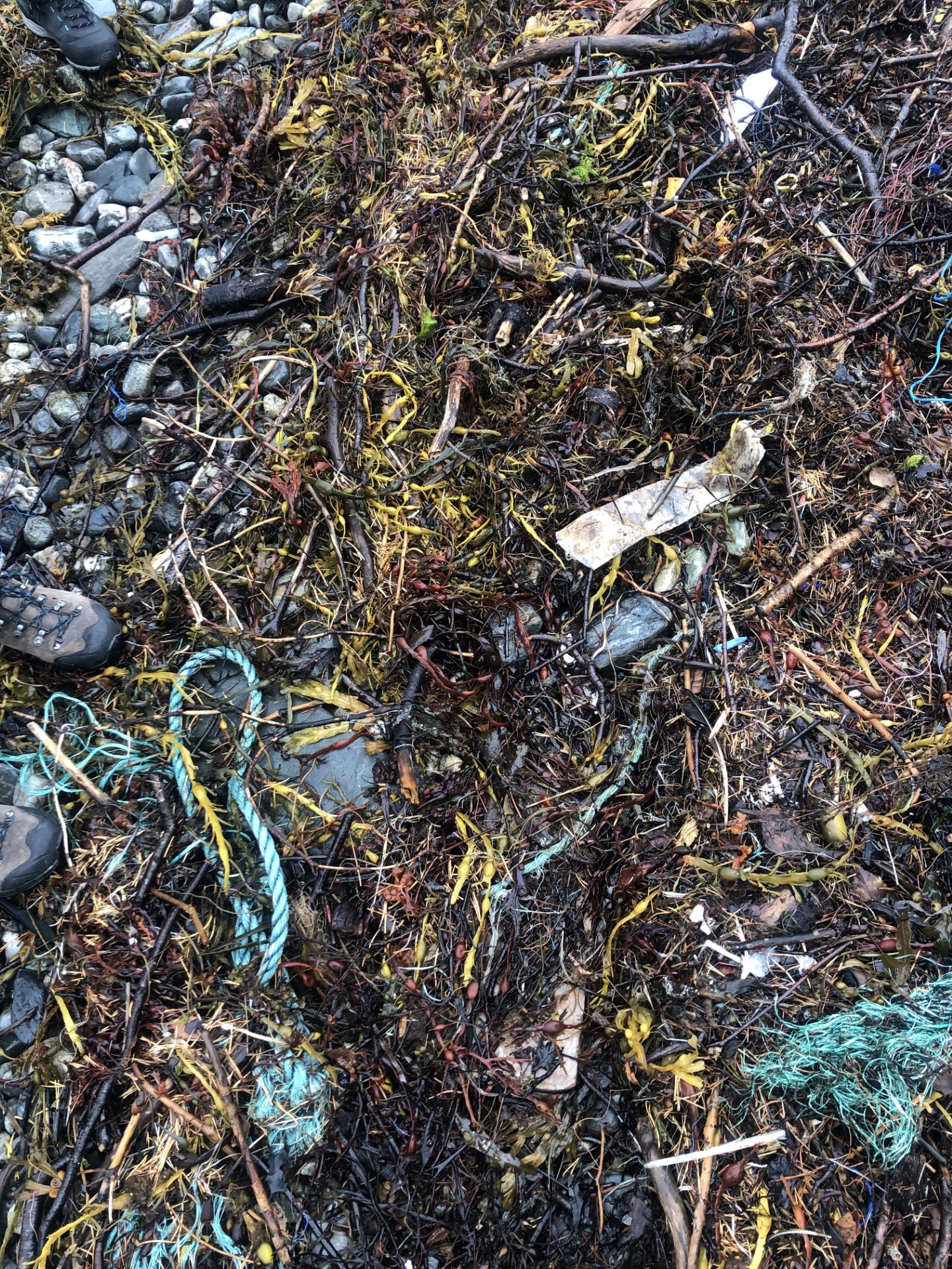 Plast i tang Kolavika