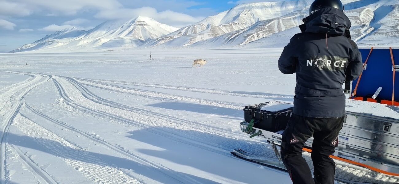 , Fra Svalbard. Foto: Eirik Malnes, Snow pilot 20210416 090109, <p>Eirik Malnes</p>, Vinterlandskap på Svalbard med reinsdyr og scooterkjører