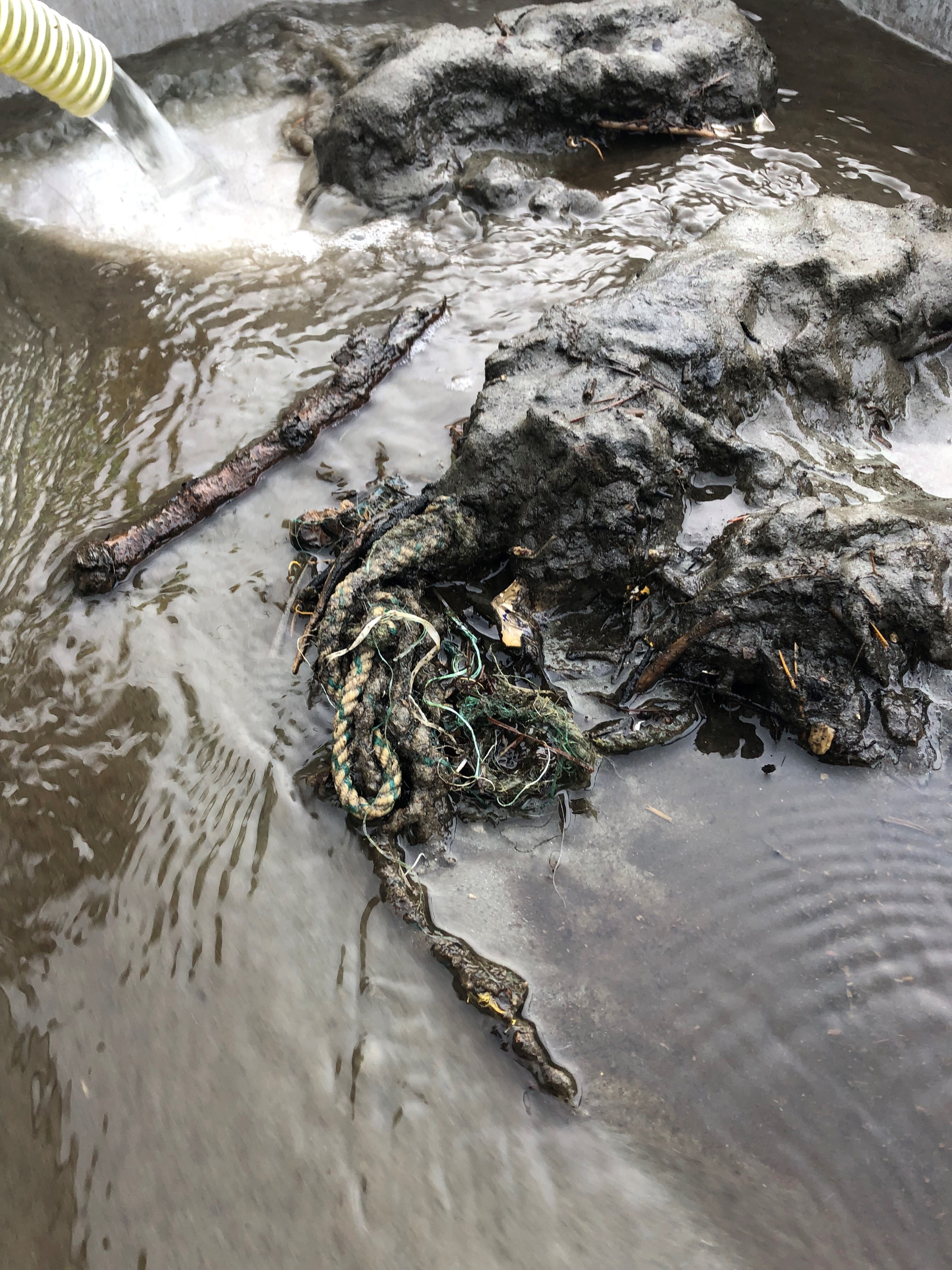 Sediment med avfall kolavika